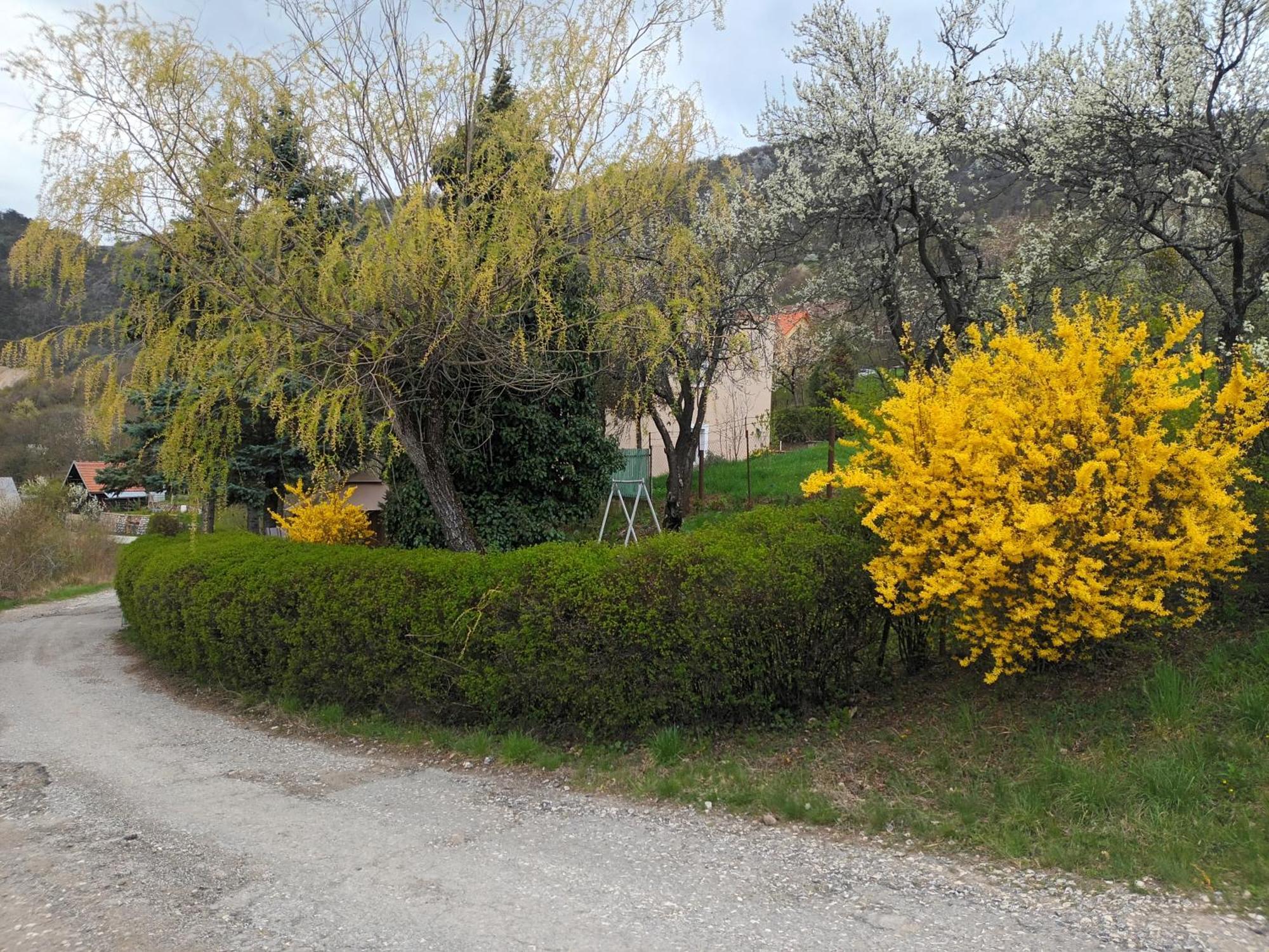 Villa Evetes Szádalmás Kültér fotó